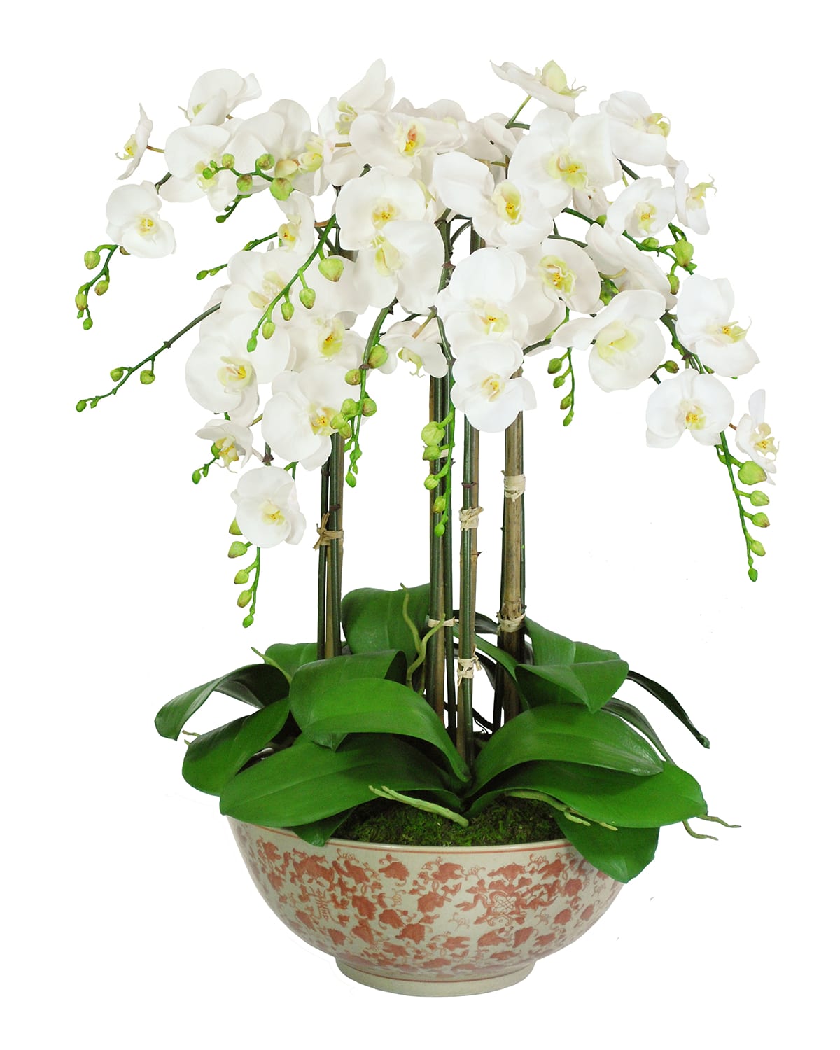 Shop Winward Home Orchids In Long Life Bowl In White/brown