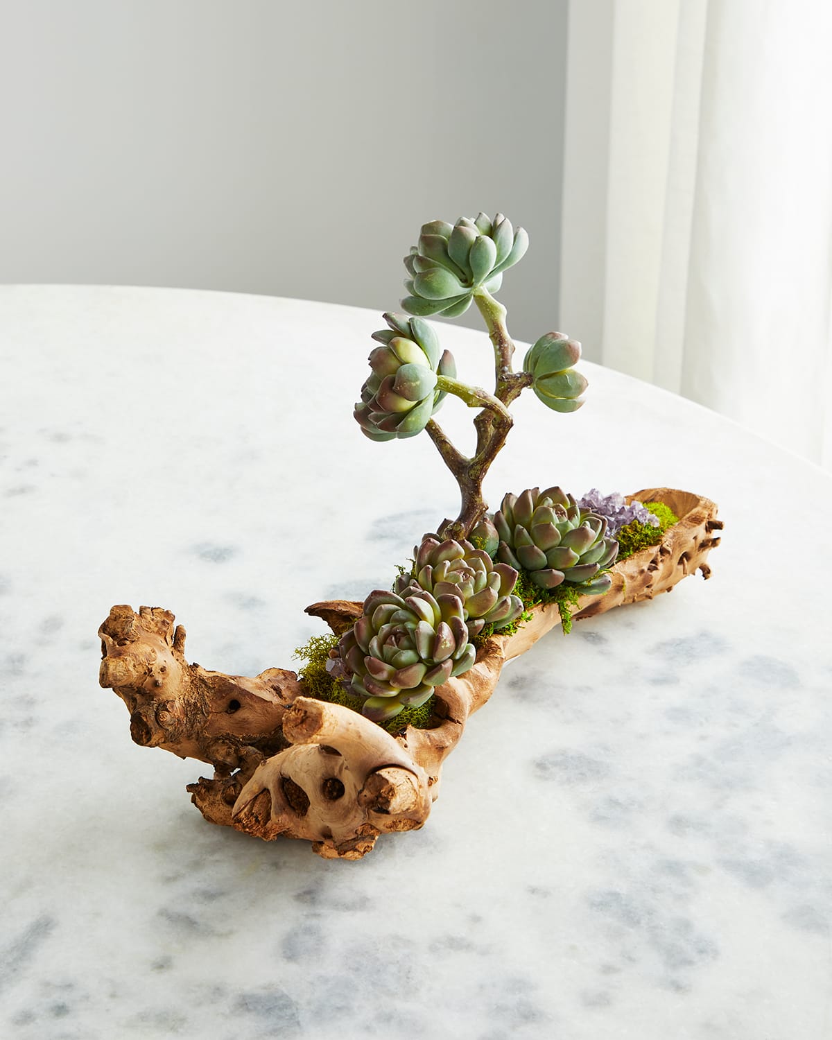 Shop T & C Floral Company Baby Log Filled With Sedum In Blue