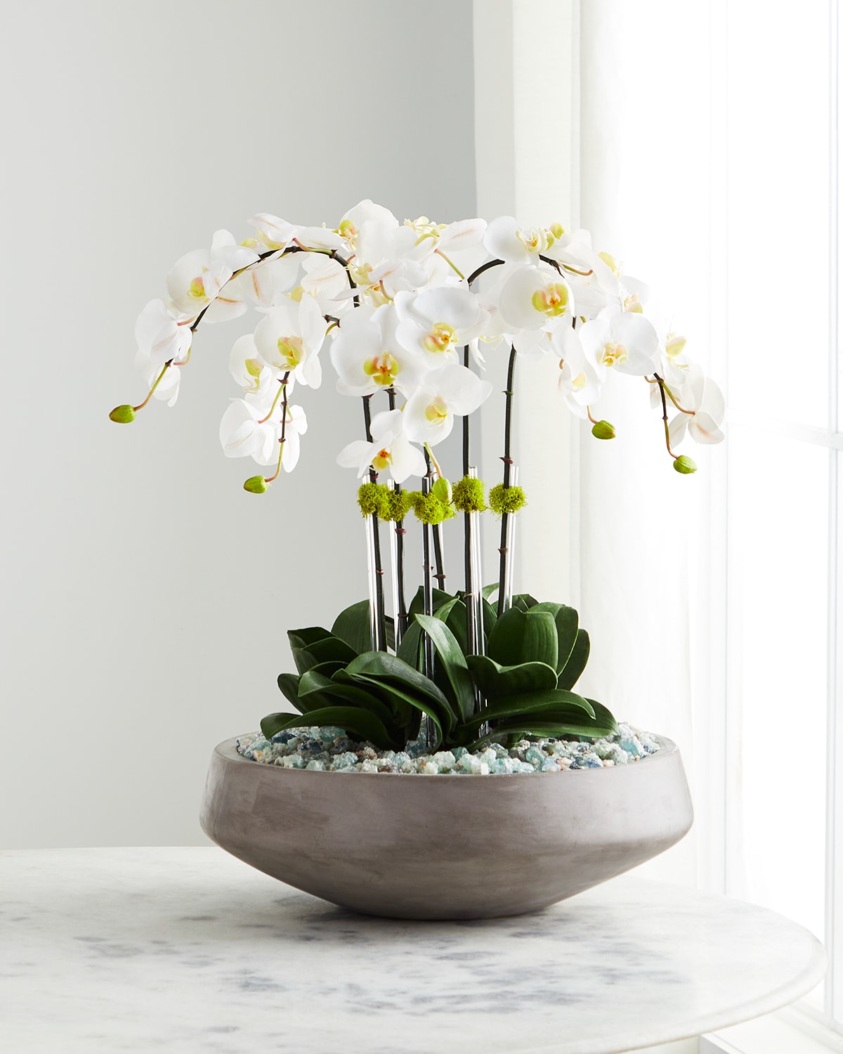 Shop T & C Floral Company Concrete Bowl Filled With Flourite & White Orchids