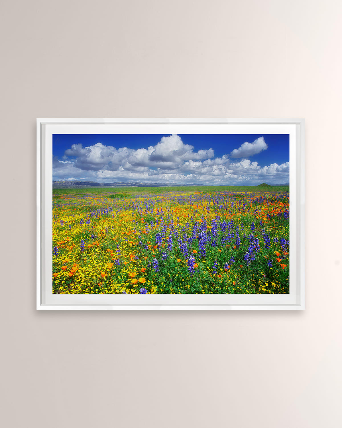 Grand Image Home Lupin And Poppies, Carrizo Plain National Monument Digital Art Print By Photodf In White