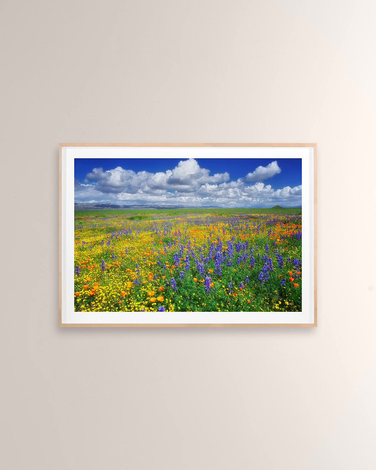 Grand Image Home Lupin And Poppies, Carrizo Plain National Monument Digital Art Print By Photodf