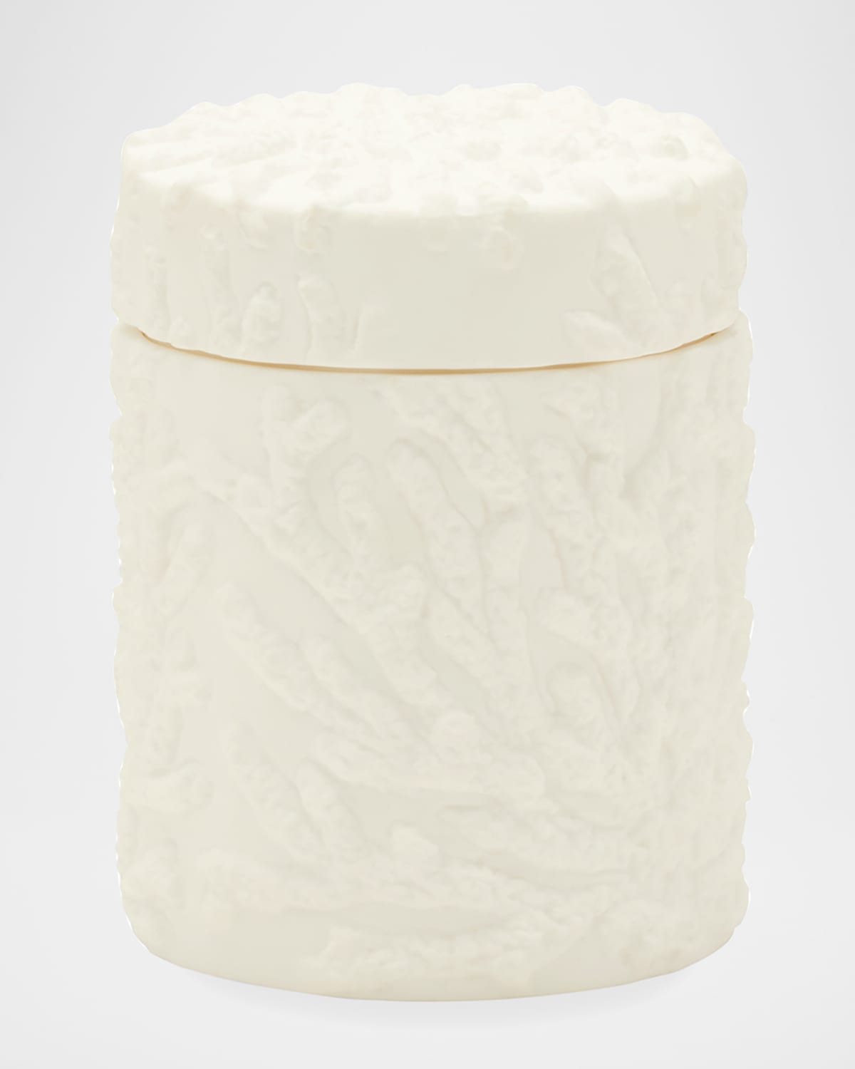 Pigeon & Poodle Alanya Large Round Canister, White