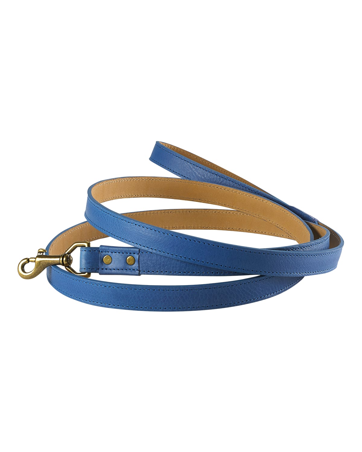 Shop Graphic Image Personalized Dog Leash In Blue