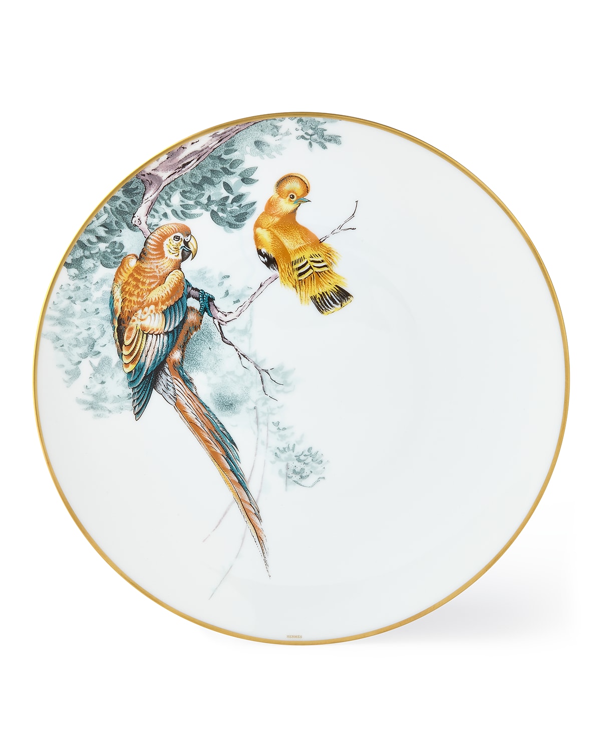 Carnets d' Equateur Birds Dinner Plate