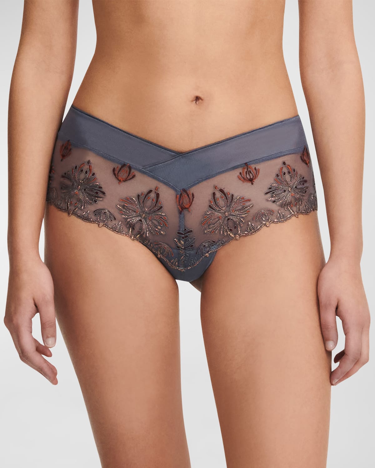 Chantelle Champs Elysees Hipster Briefs In Slate Grey Multic