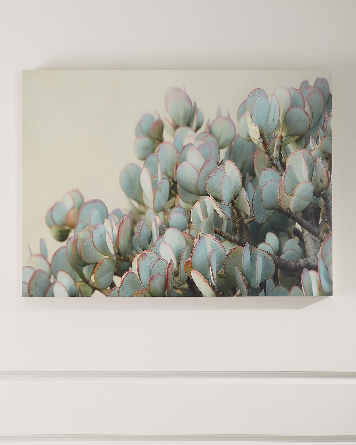 Succulent 2 Photograph Print on Maple Box Art