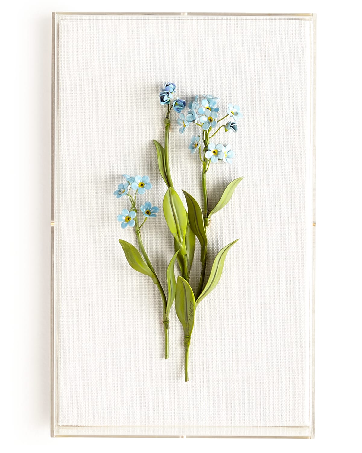 Tommy Mitchell Original Painted Forget-me-not Study In Blue