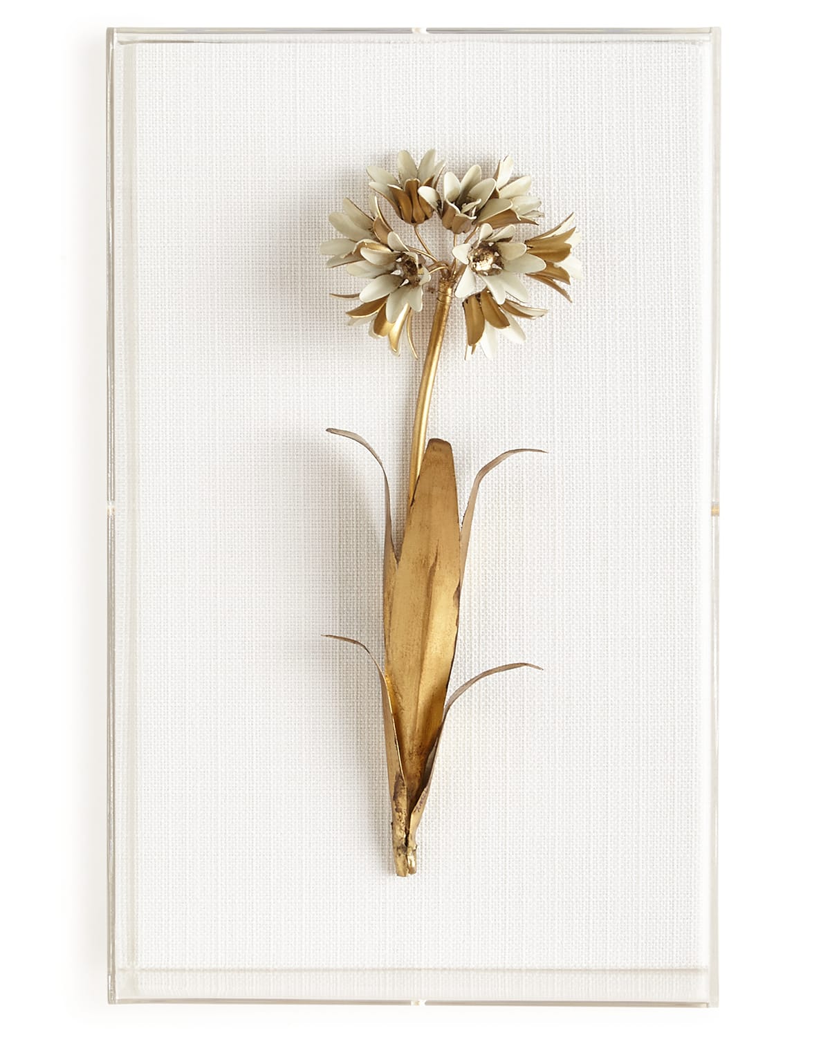 Tommy Mitchell Original Gilded Agapanthus Study On Linen In Gold