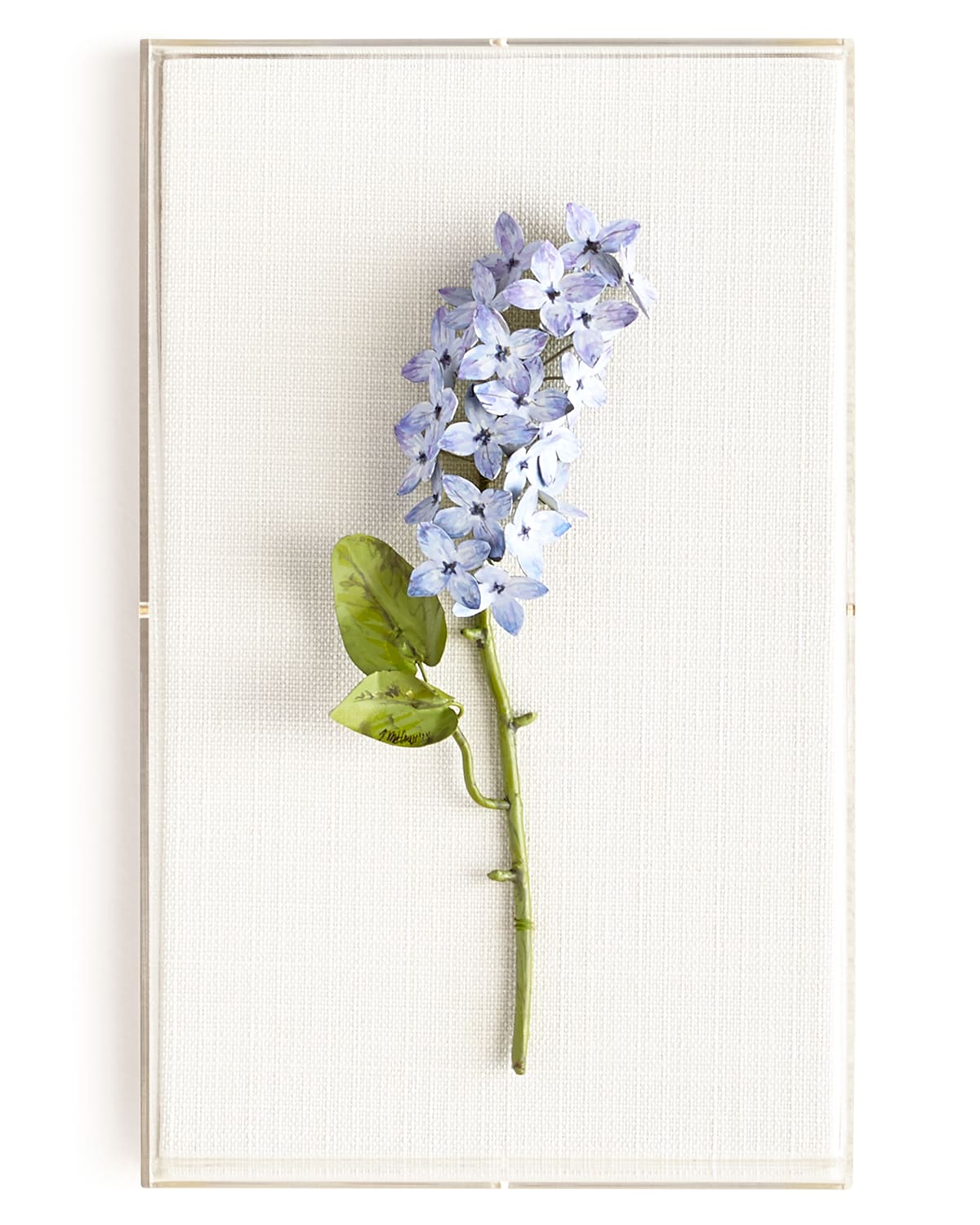 Tommy Mitchell Original Painted Lilac Study In Purple