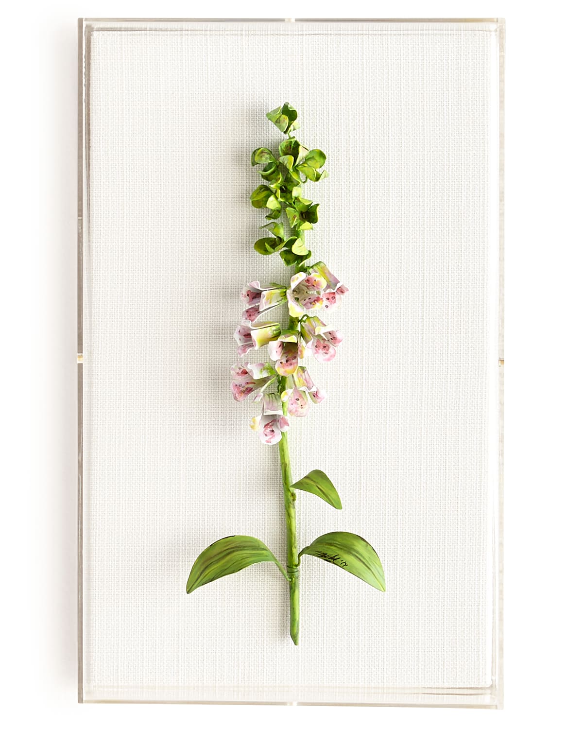Tommy Mitchell Original Painted Foxglove Study In Pink