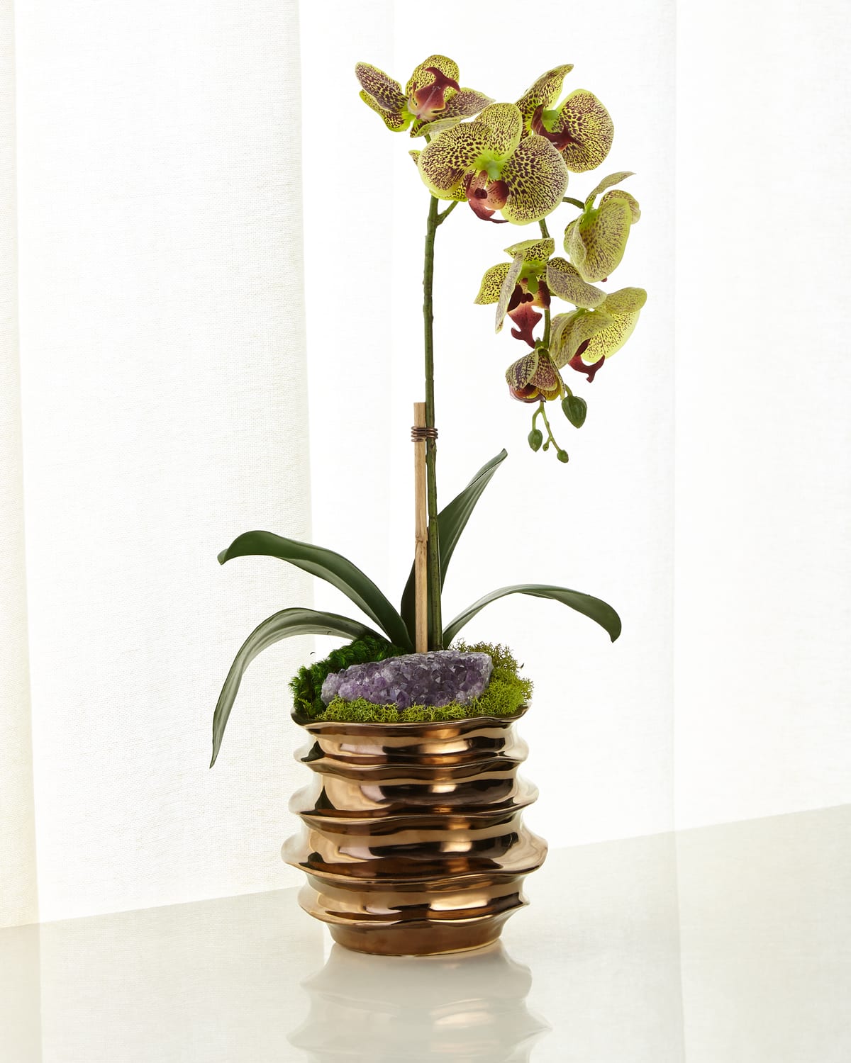 Shop T & C Floral Company Green Orchid With Amethyst In Contemporary Pot