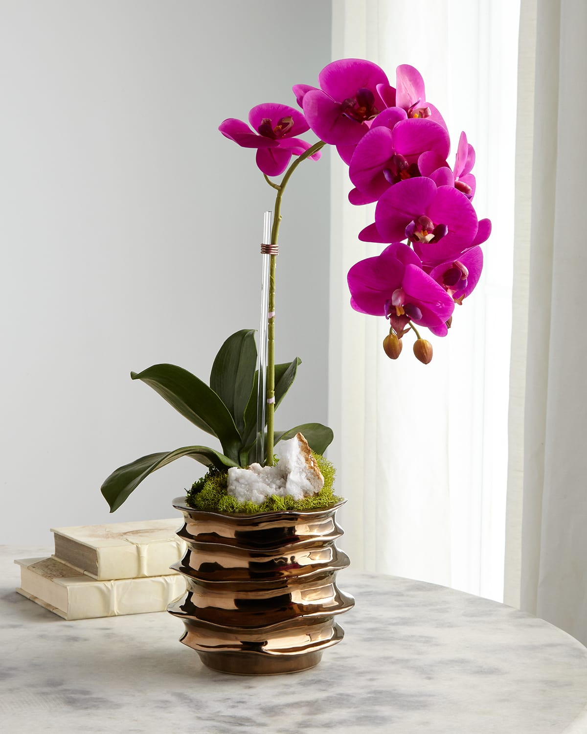 Shop T & C Floral Company Green Orchid With Amethyst In Contemporary Pot In Fuchsia