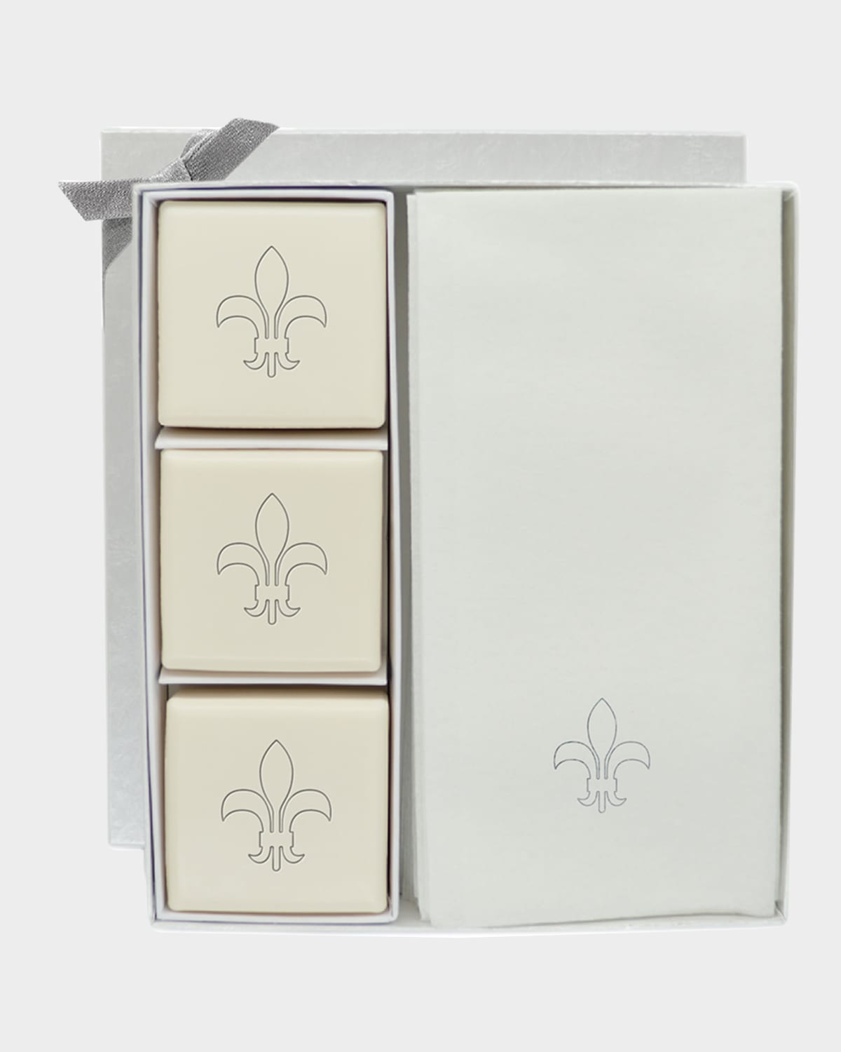 Carved Solutions Eco-luxury Fleur De Lys Courtesy Gift Set In Silver