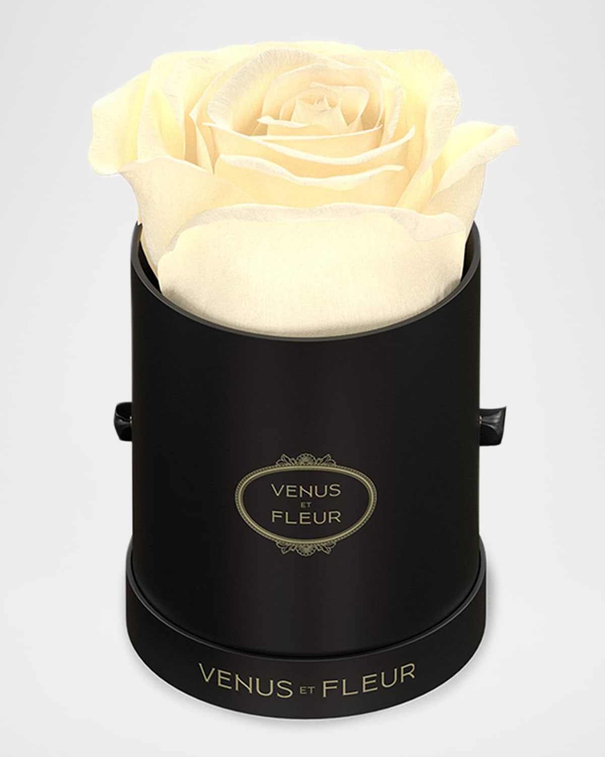 Venus Et Fleur Classic Mini Round Rose Box In Pearl