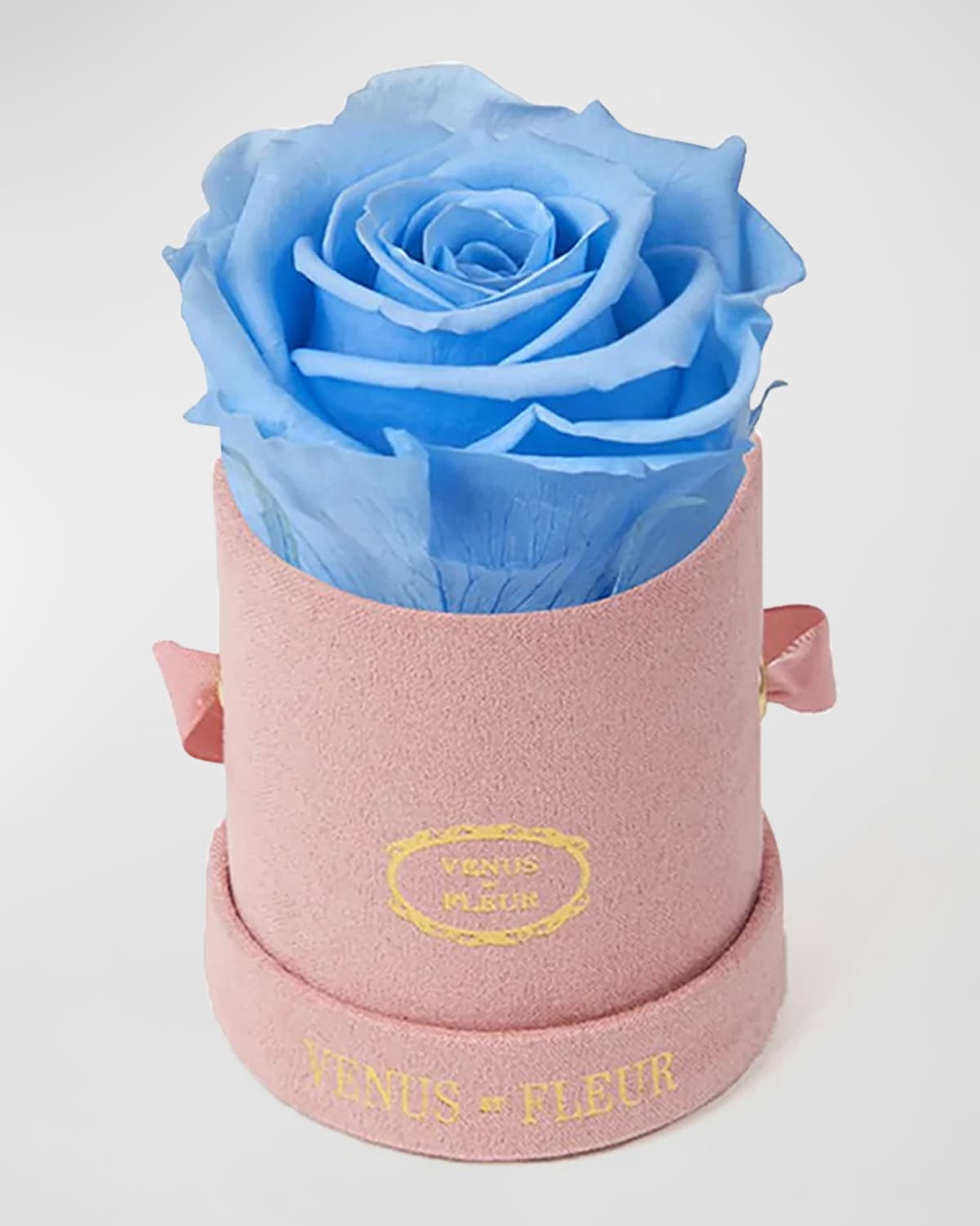 Shop Venus Et Fleur Suede Mini Round Rose Box In Baby Blue