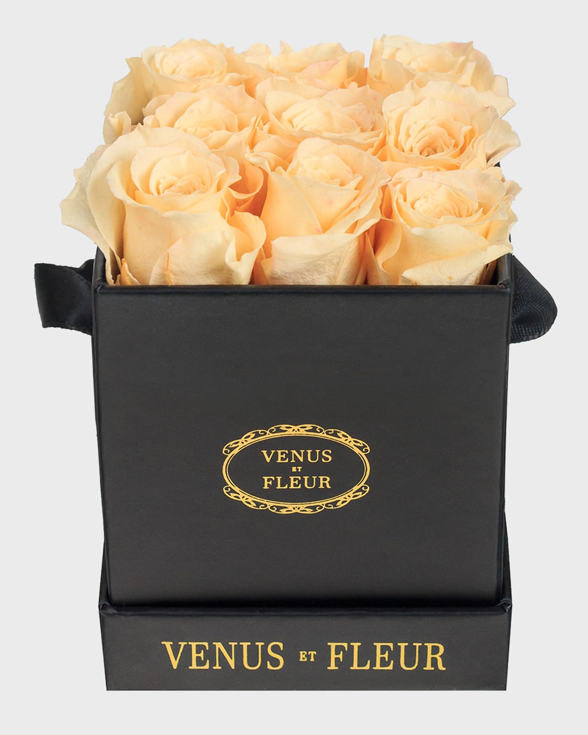 Shop Venus Et Fleur Classic Mini Square Rose Box In Champagne