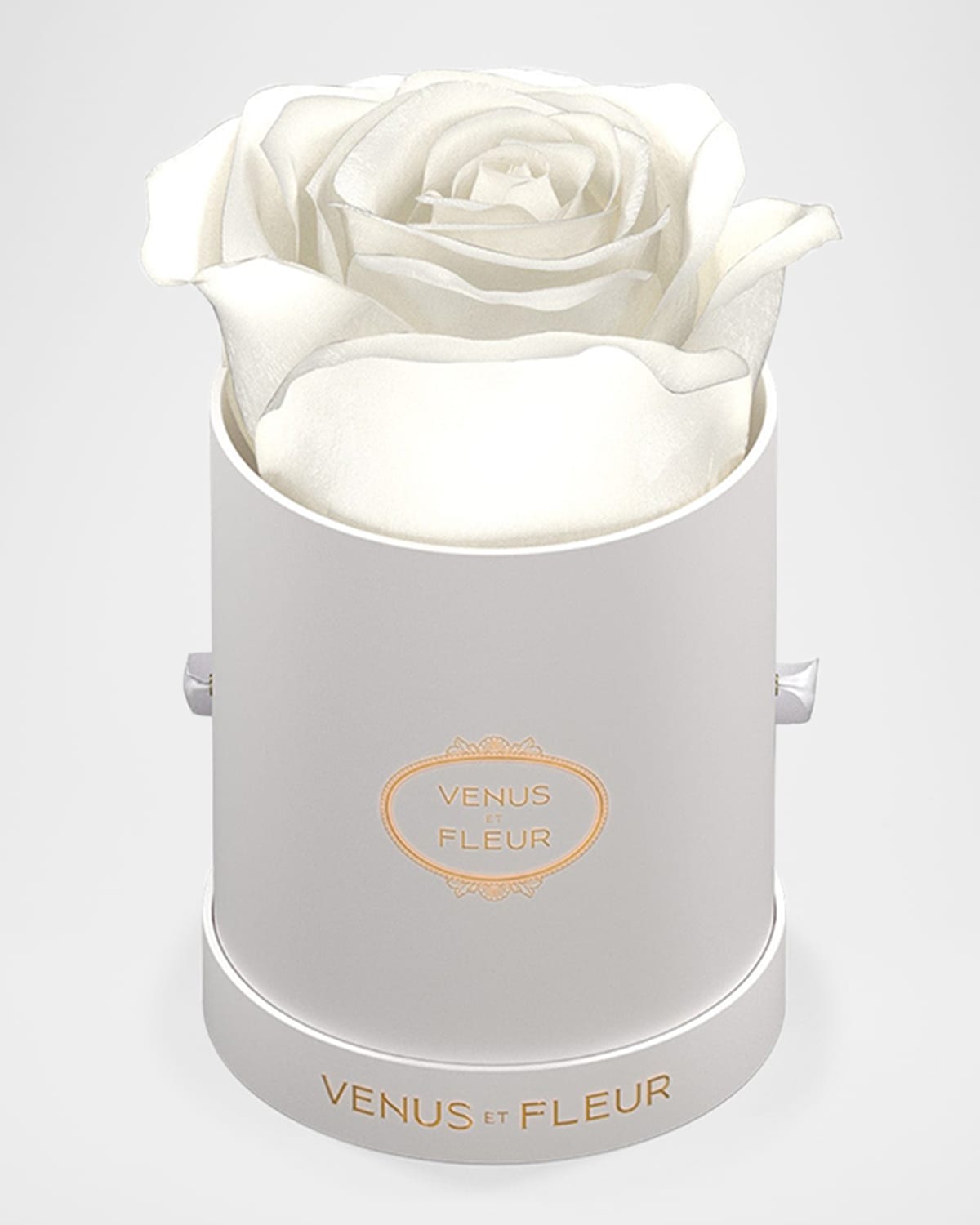 Venus Et Fleur Classic Mini Round Rose Box In White