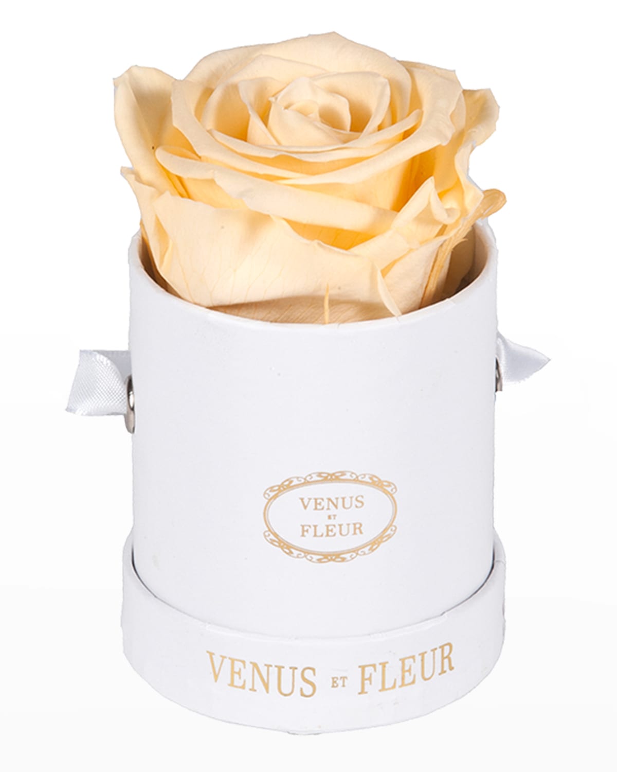 Shop Venus Et Fleur Classic Mini Round Rose Box In Champagne