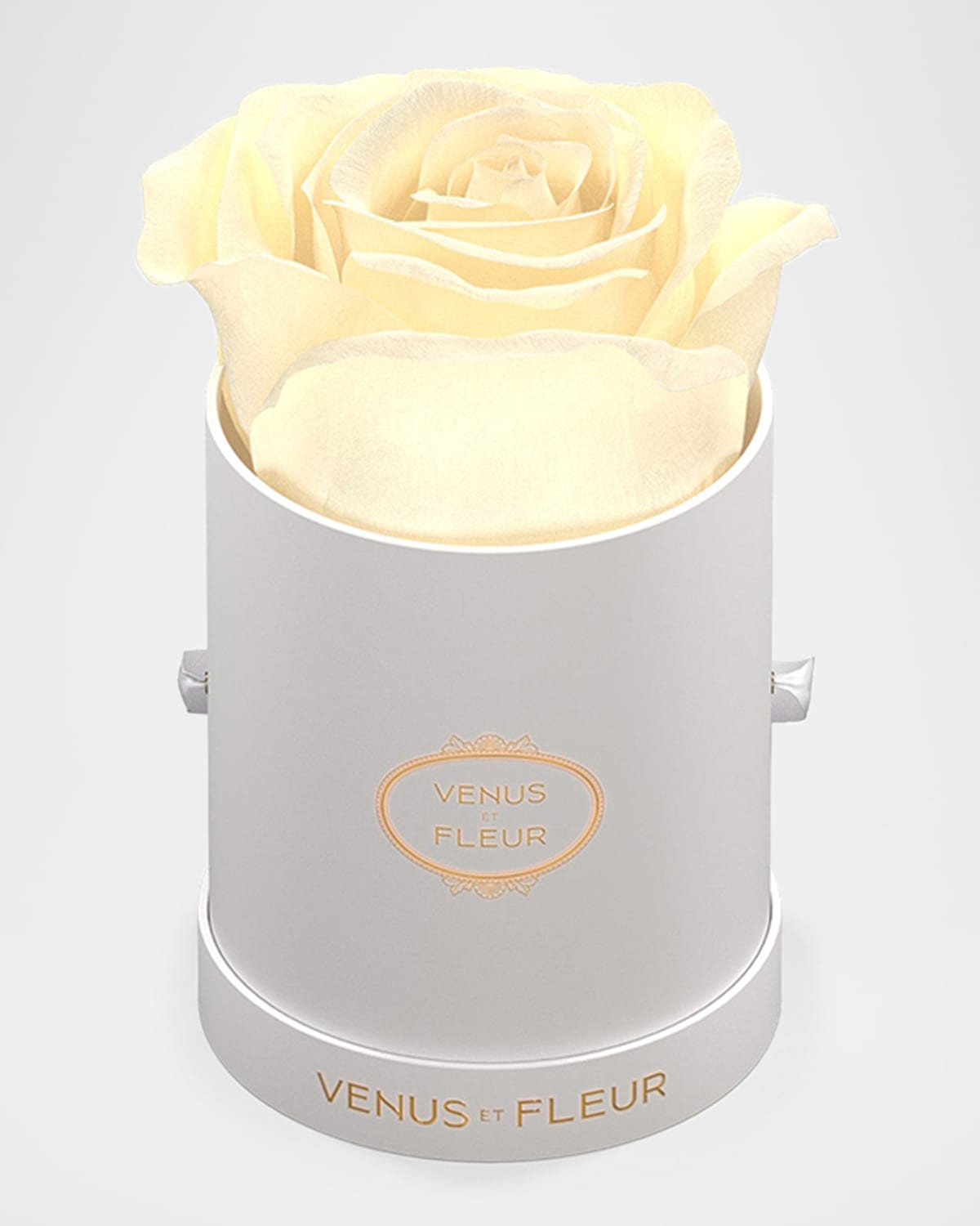 Venus Et Fleur Classic Mini Round Rose Box In Pearl