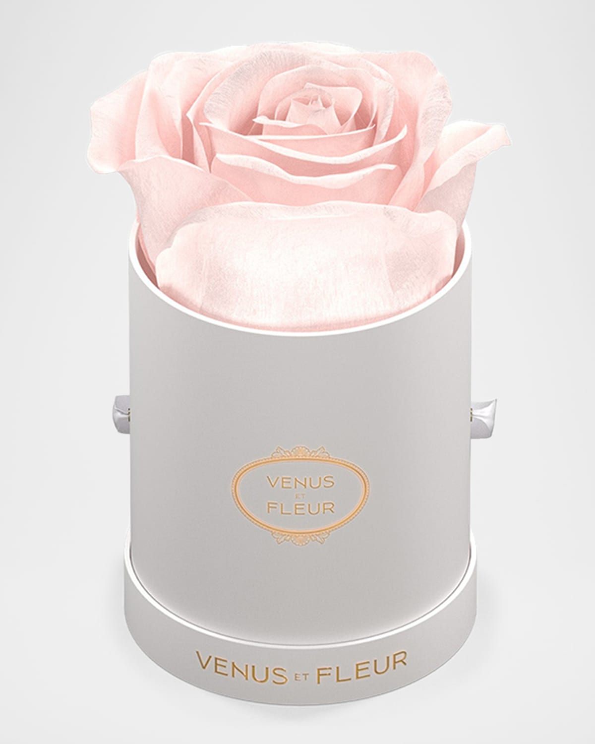 Venus Et Fleur Classic Mini Round Rose Box In Blush