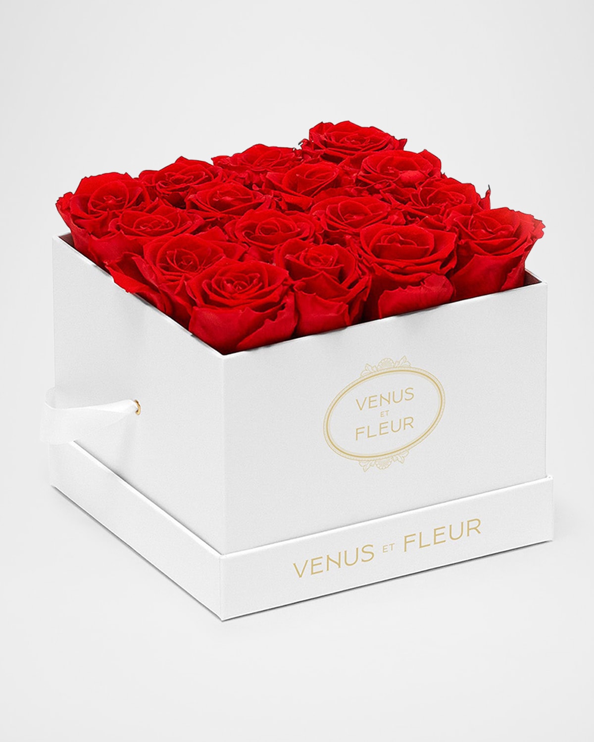Venus Et Fleur Classic Small Square Rose Box In Red