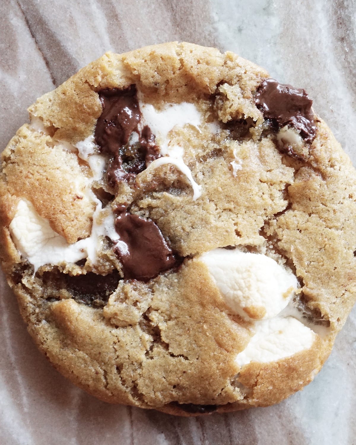 Vegan Ooey Gooey S'mores Cookies