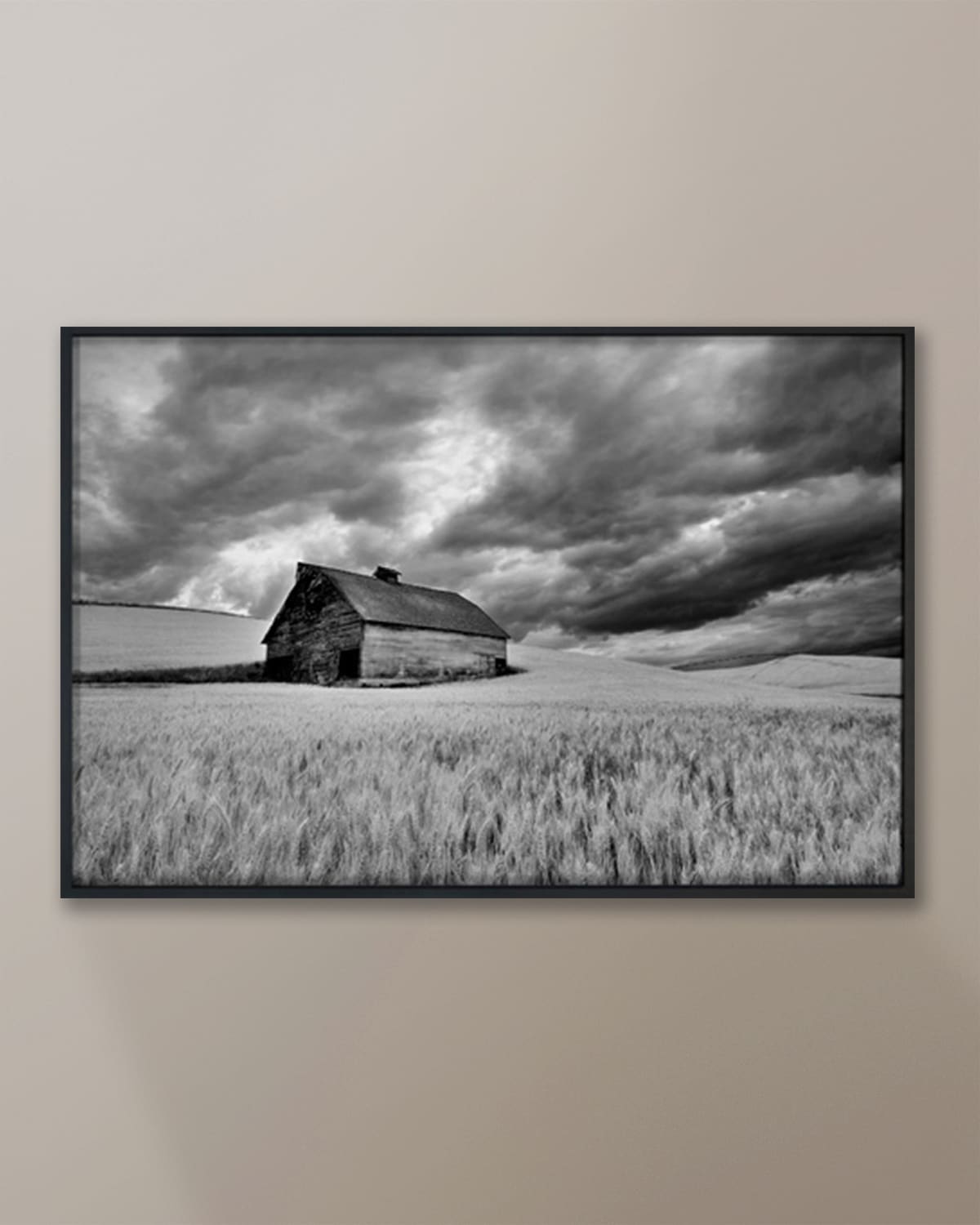 Barn in the Wheat Field with Approaching Storm Photo