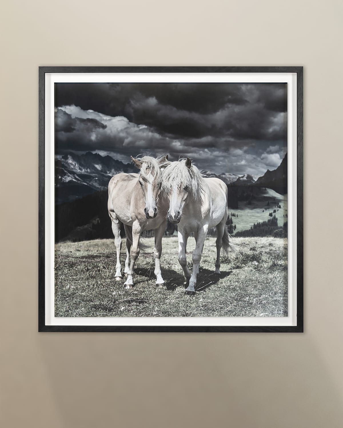 Grand Image Home Horses In Europe" Archival Digital Print By Chris Dunker"