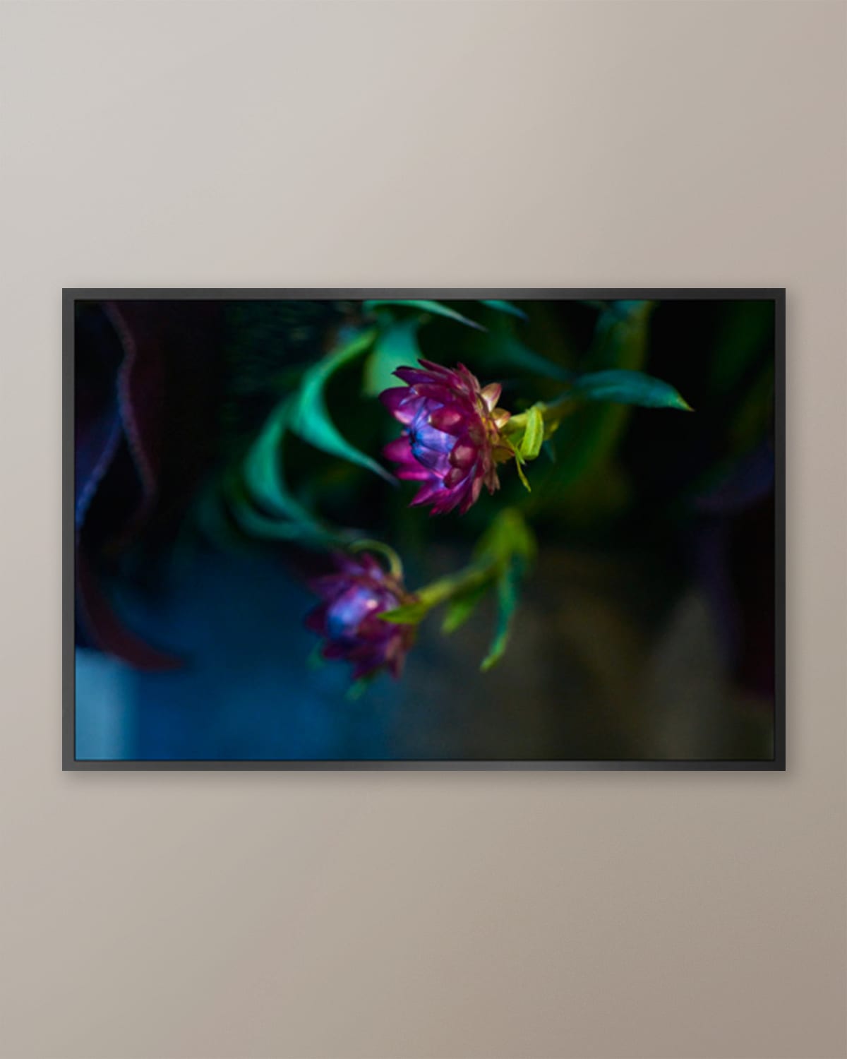 "Botanical Arrangement 2" Photo by Chris Dunker (Made to Order)