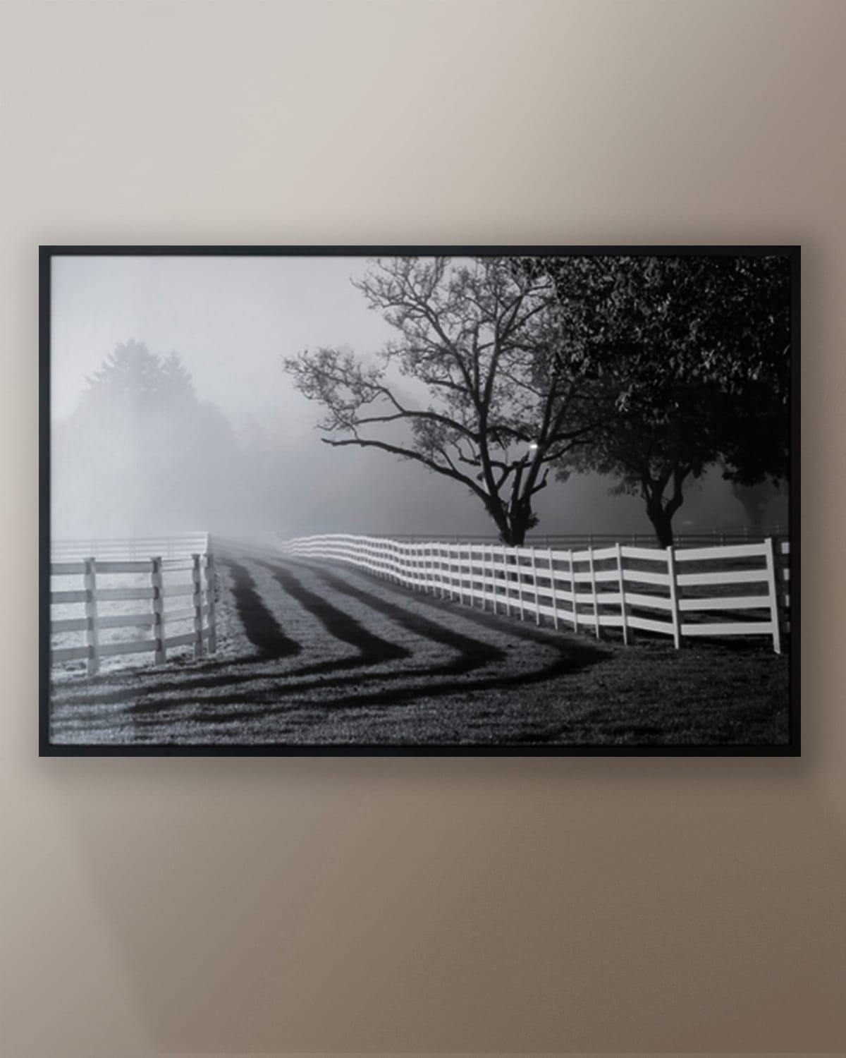 Fenced Pasture with Fog and Sunshine Photo