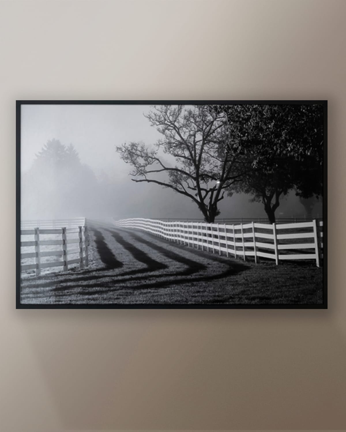 Grand Image Home Fenced Pasture With Fog And Sunshine Photo