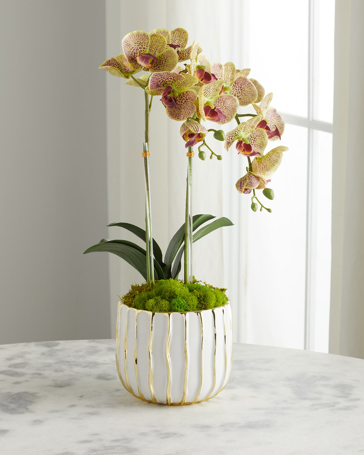 Shop T & C Floral Company White Orchid In White/gold Pot In Green