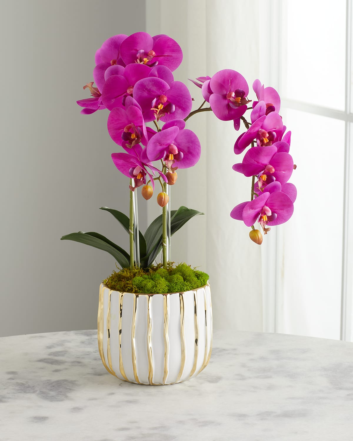 Shop T & C Floral Company White Orchid In White/gold Pot In Fuschia