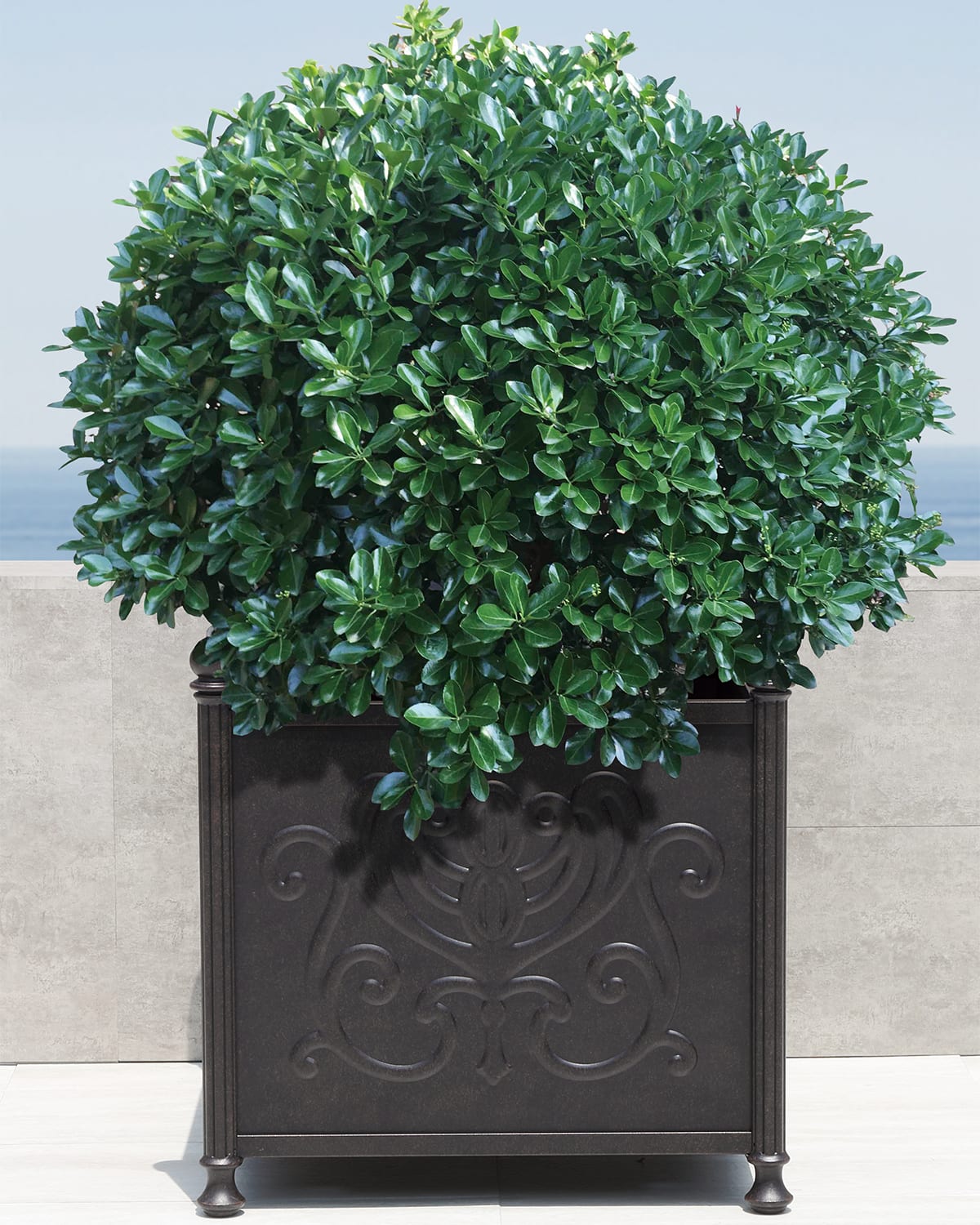 Shop Hanamint Tuscany Outdoor 24" Large Square Planter Box In Desert Bronze