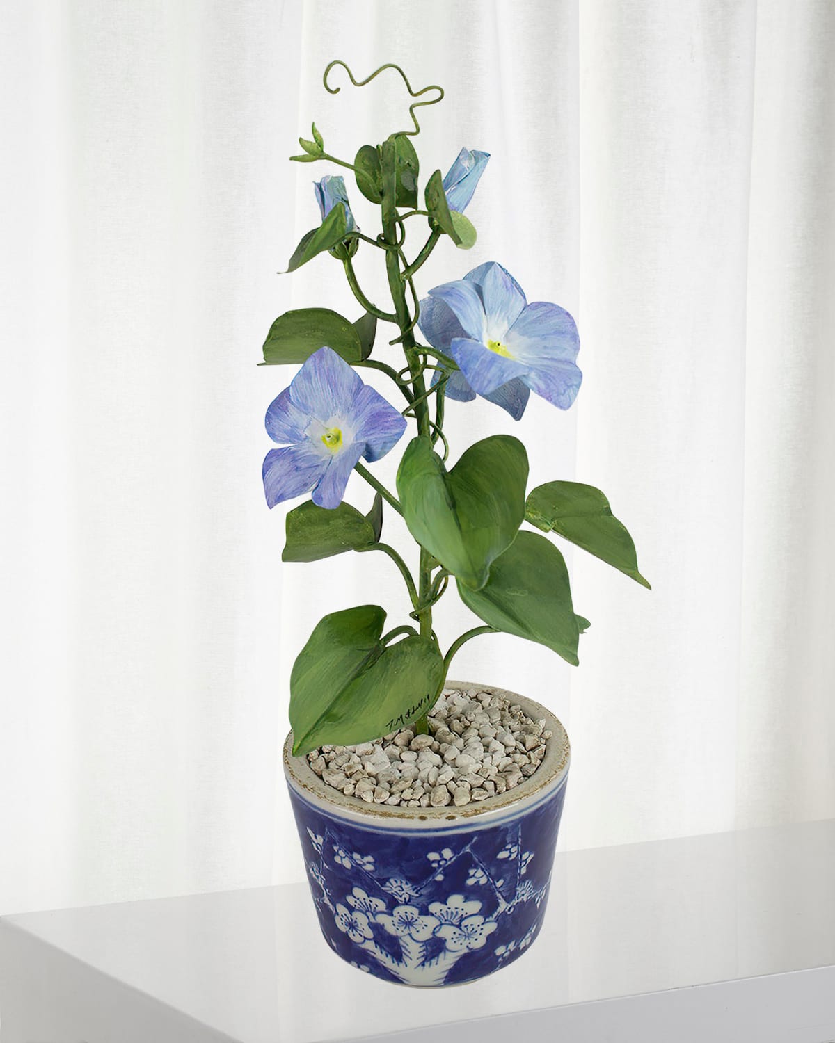 Shop Tommy Mitchell Morning Glory September Birth Flower In Ceramic Pot In Blue