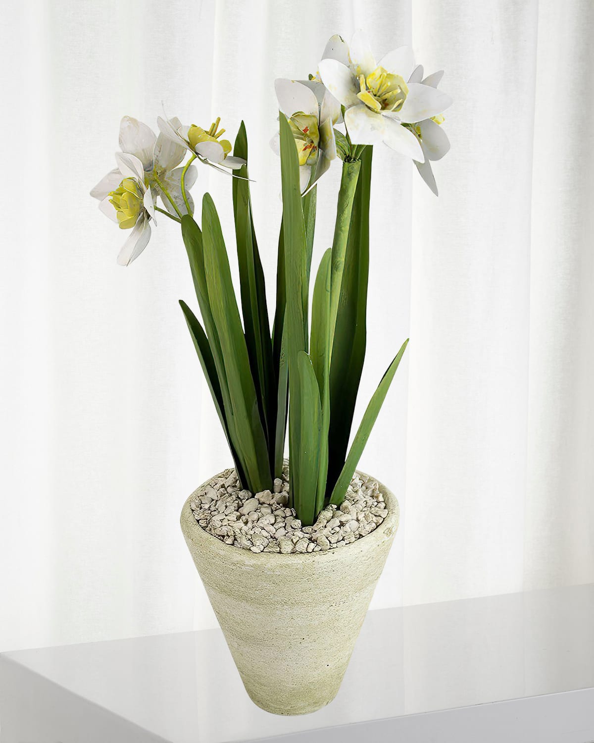 Tommy Mitchell Narcissus December Birth Flower In White Terracotta Pot In White