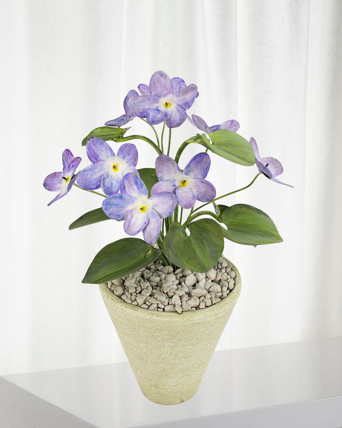 Tommy Mitchell Violet February Birth Flower In White Terracotta Pot In Violet