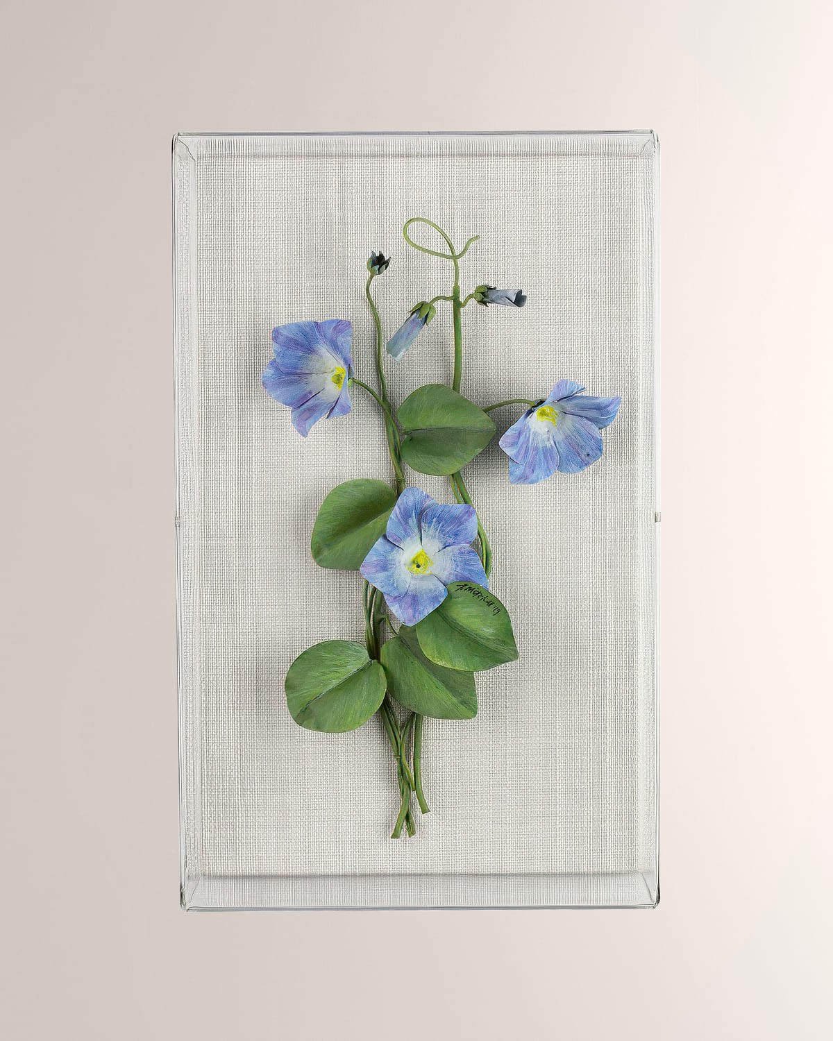 Tommy Mitchell Morning Glory September Birth Flower Wall Art In Blue