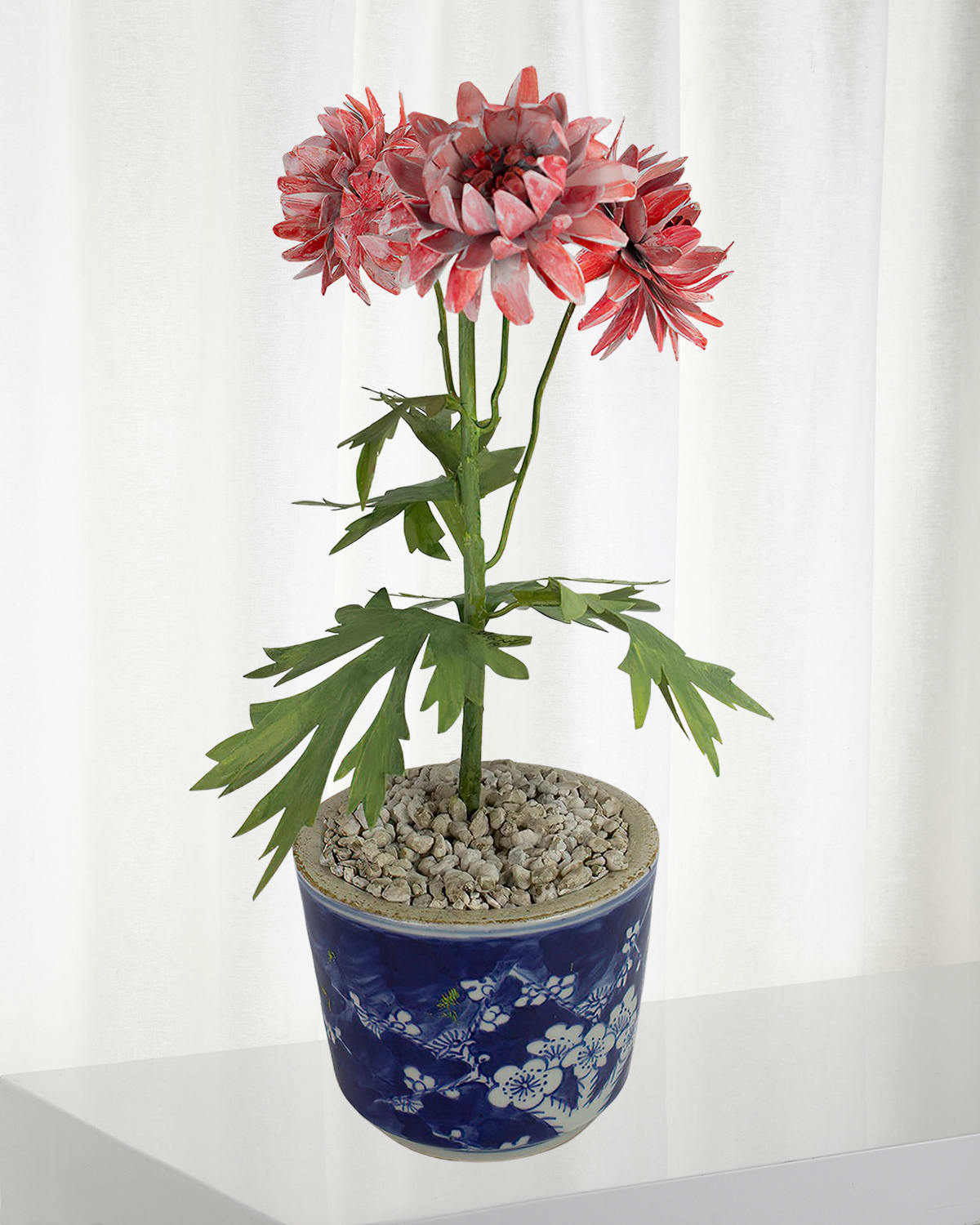 Shop Tommy Mitchell Crysanthemum November Birth Flower In Ceramic Pot In Pink