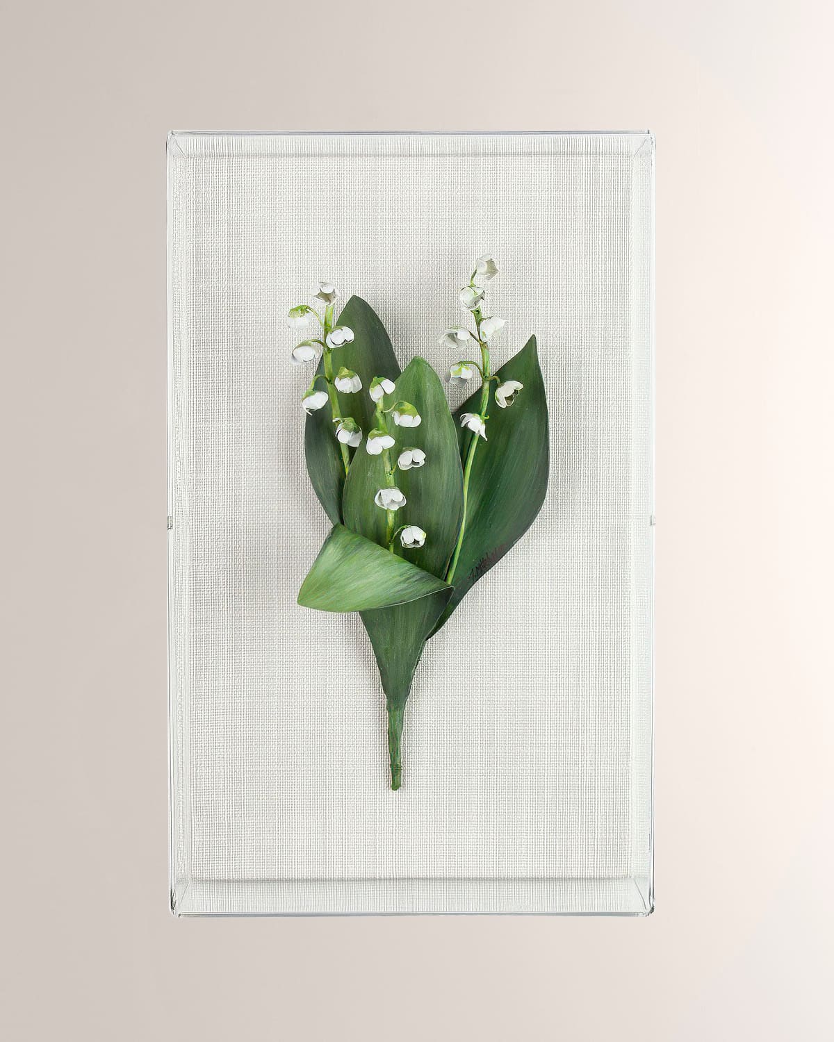 Shop Tommy Mitchell Lily Of The Valley May Birth Flower Wall Art In White