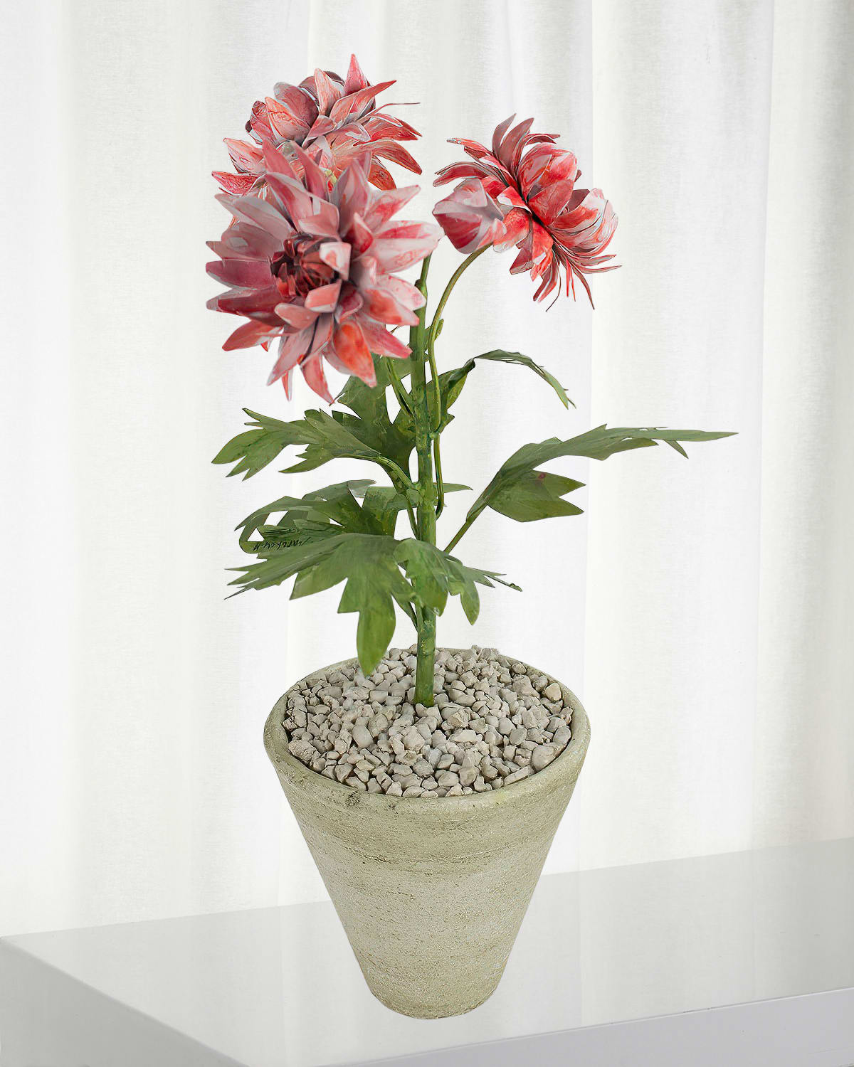 Shop Tommy Mitchell Crysanthemum November Birth Flower In White Terracotta Pot In Pink