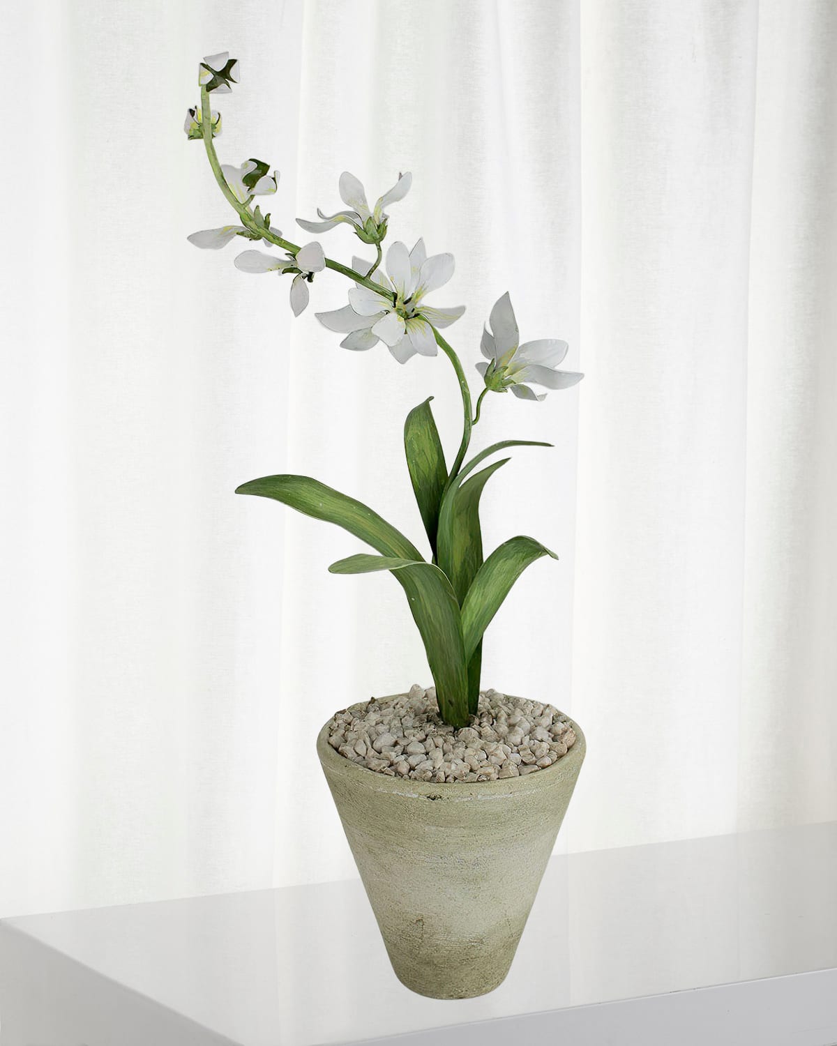 Tommy Mitchell Freesia March Birth Flower In White Terracotta Pot In Soft Yellow