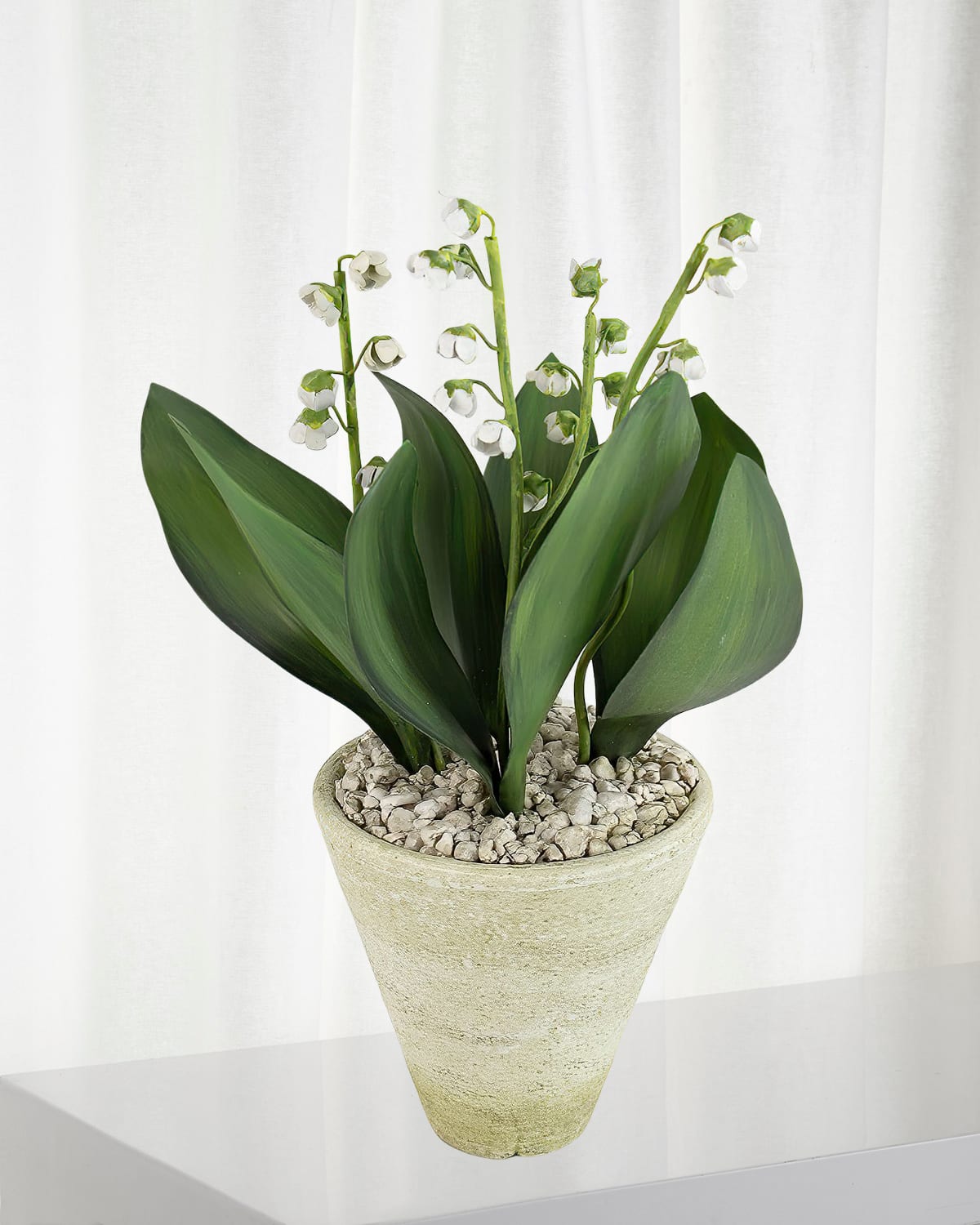 Shop Tommy Mitchell Lily Of The Valley May Birth Flower In White Terracotta Pot