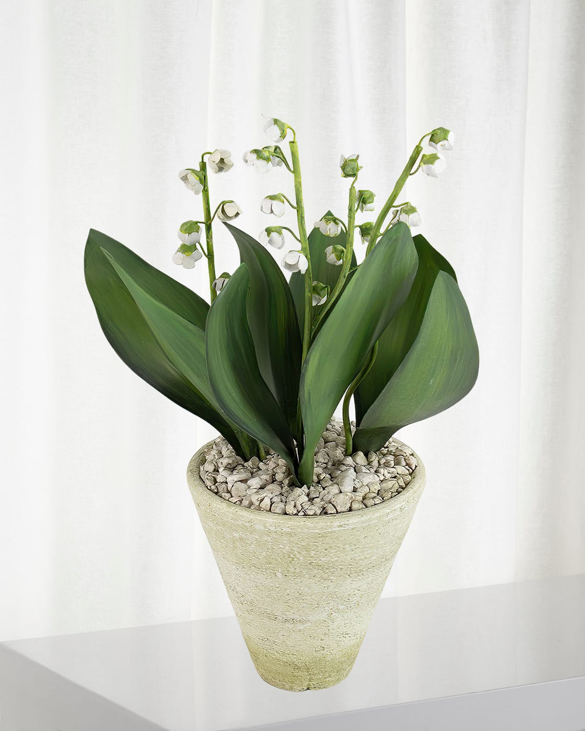 Tommy Mitchell Lily Of The Valley May Birth Flower In White Terracotta Pot In White