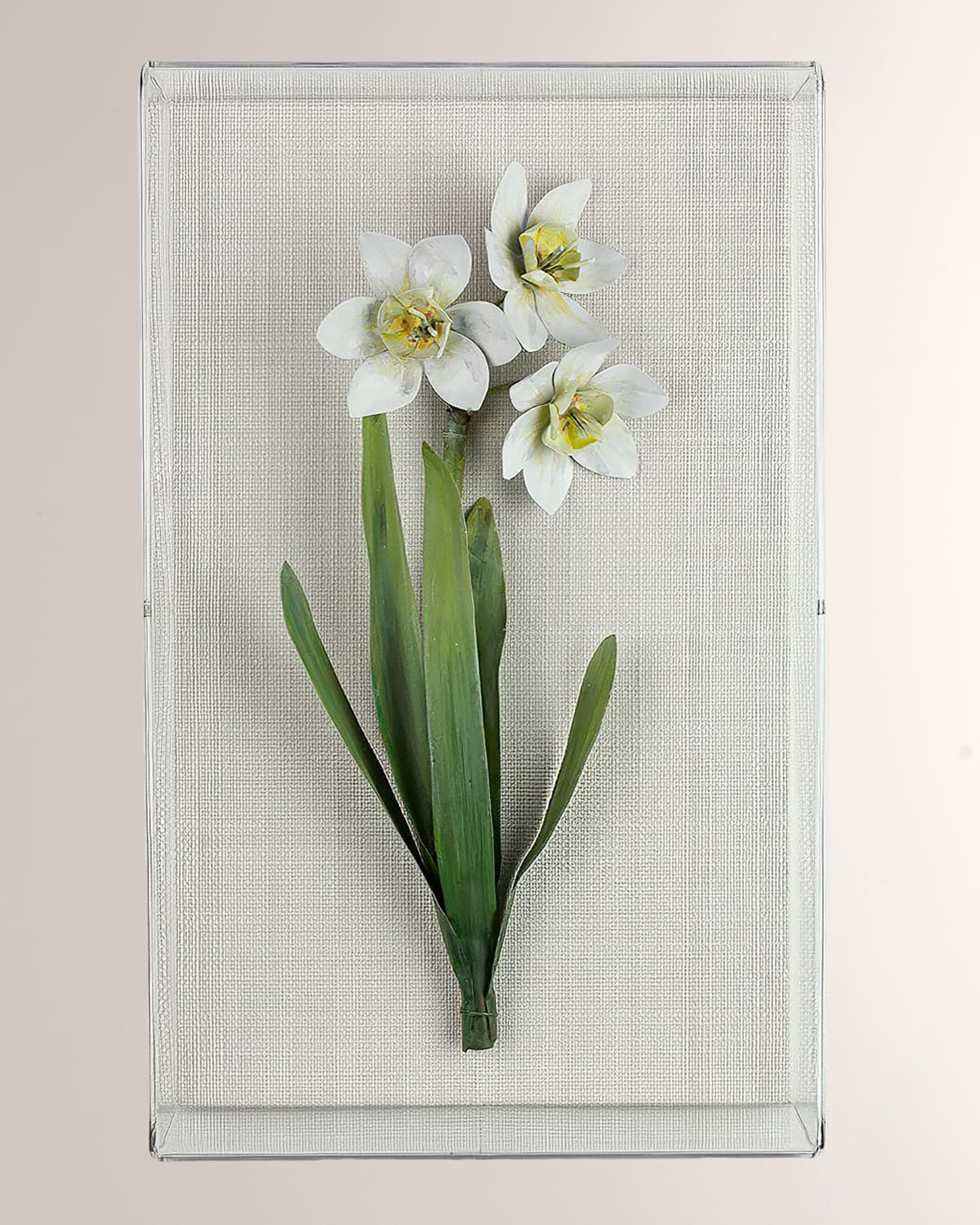 Shop Tommy Mitchell Narcissus December Birth Flower Wall Art In White