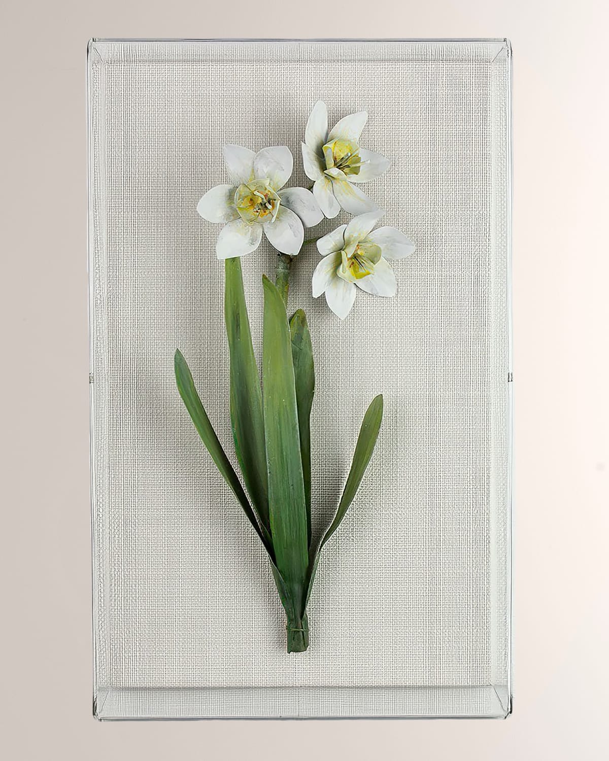 Tommy Mitchell Narcissus December Birth Flower Wall Art In White