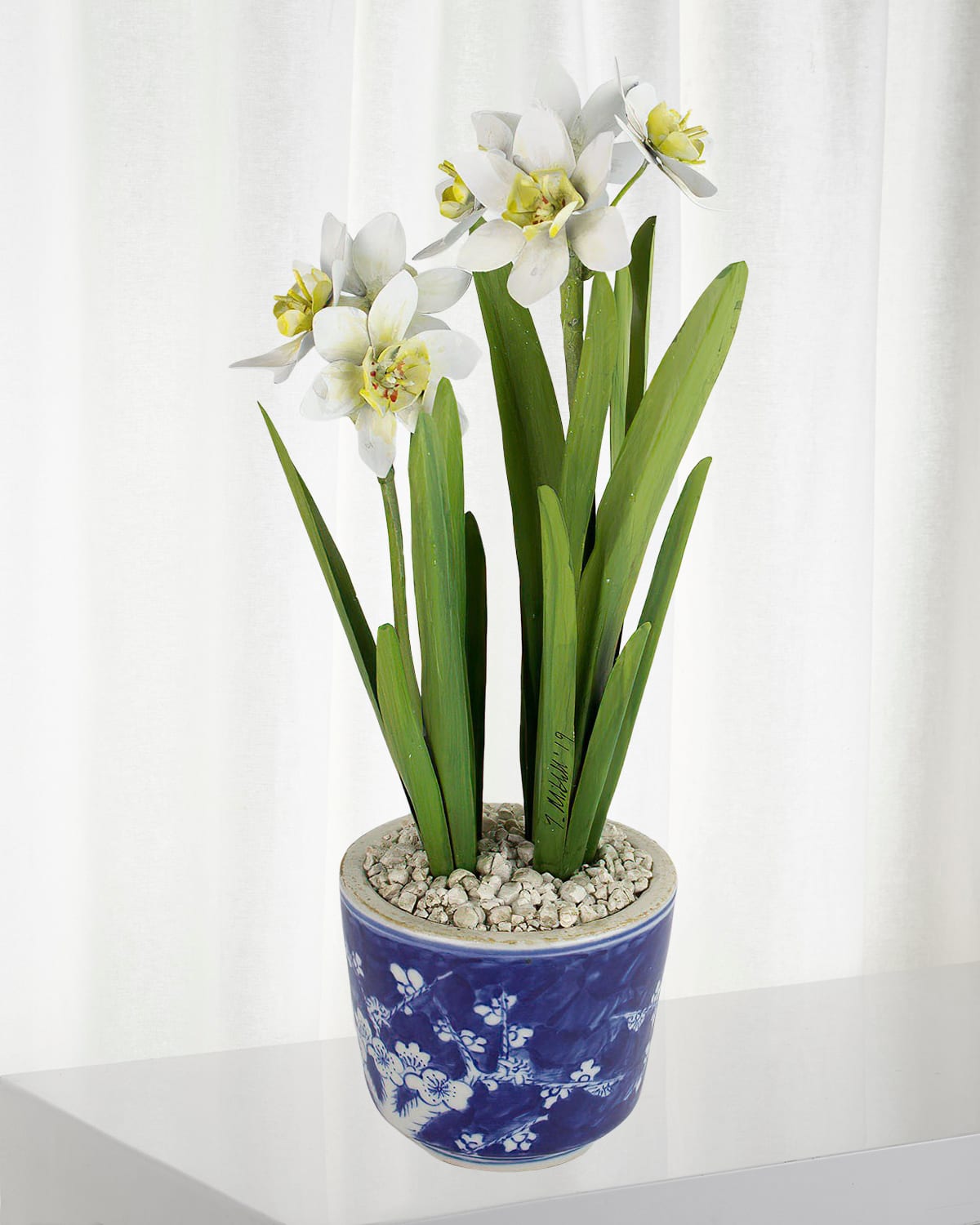 Tommy Mitchell Narcissus December Birth Flower In Blue/white Ceramic Pot In White