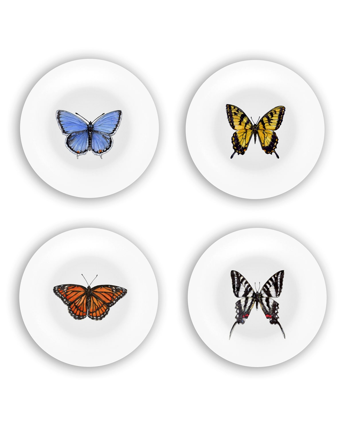 Shop Bamboo Table Butterflies Plates Gift Set In Multi-color