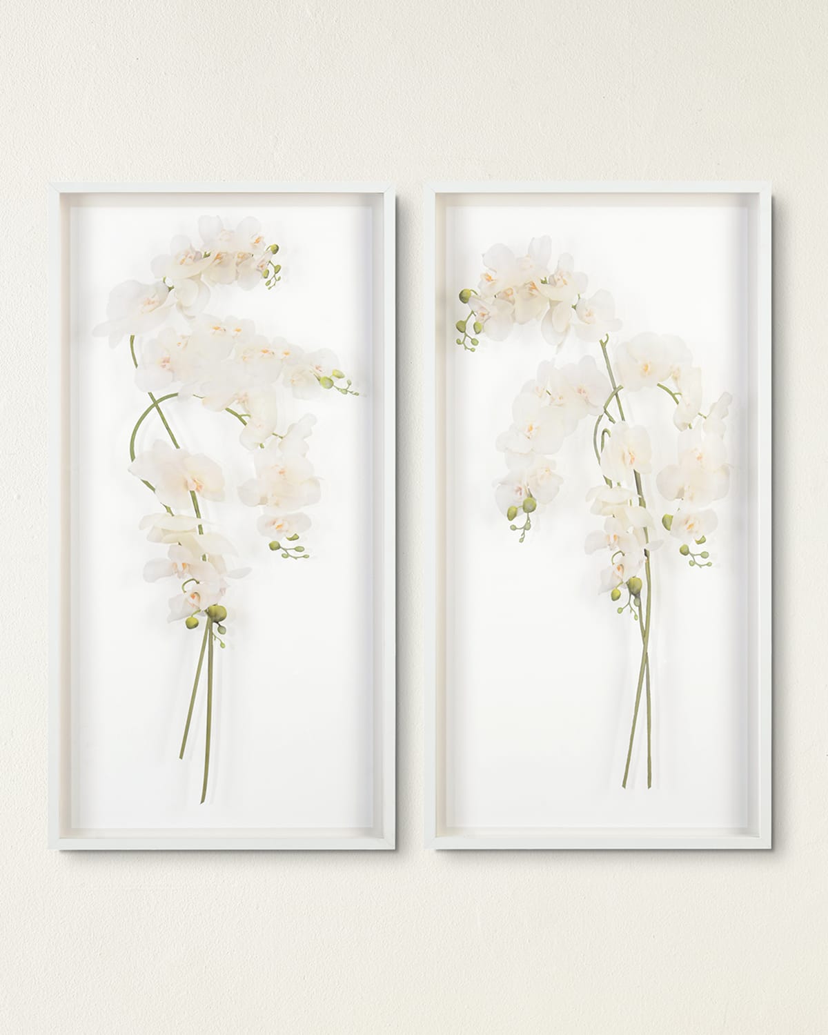 Shop John-richard Collection Study Of Orchids I Wall Art In White