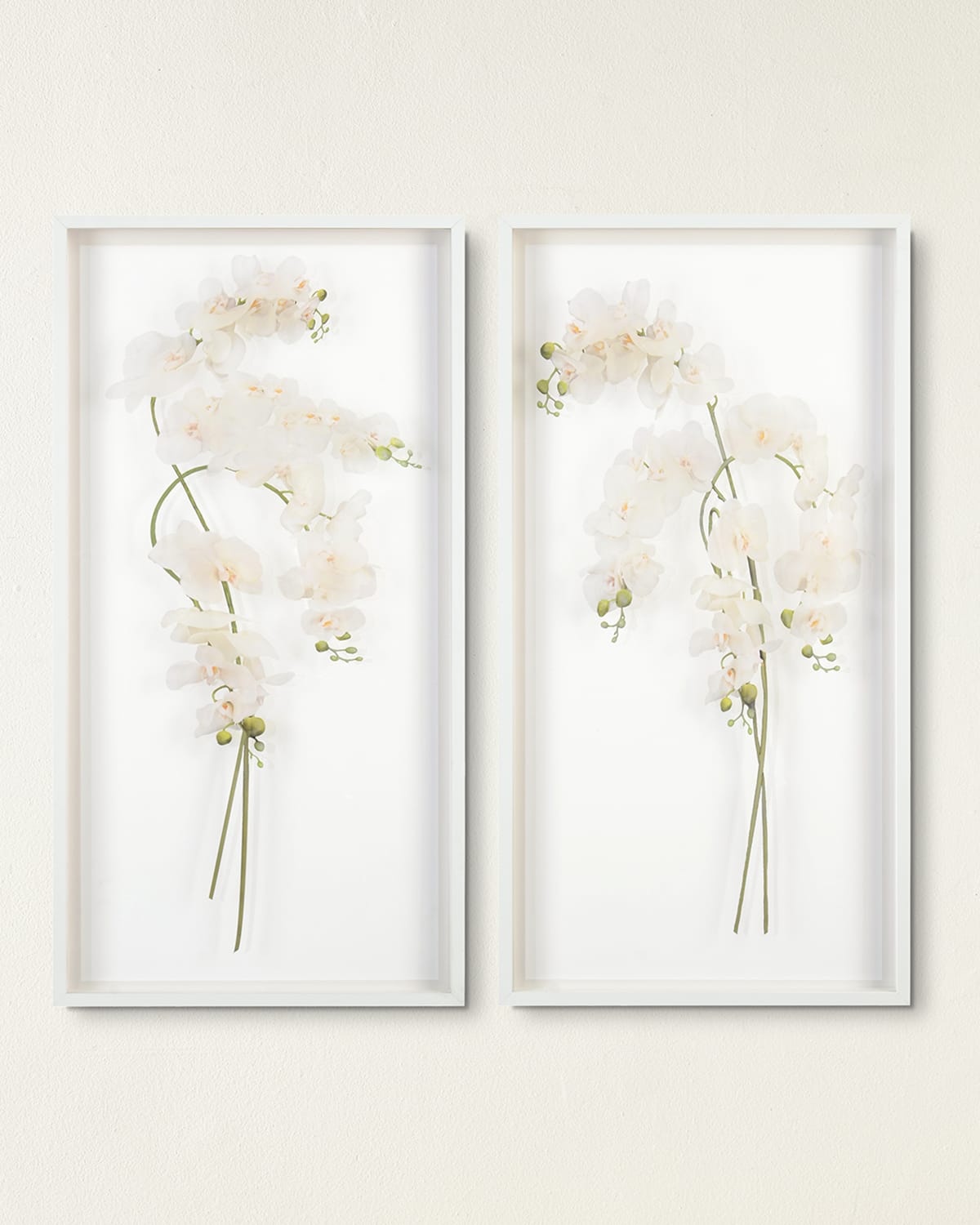 Shop John-richard Collection Study Of Orchids Ii Wall Art In White